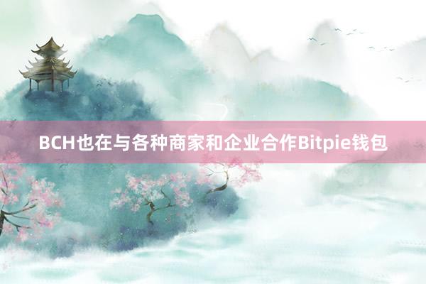 BCH也在与各种商家和企业合作Bitpie钱包