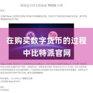 在购买数字货币的过程中比特派官网