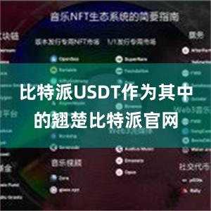 比特派USDT作为其中的翘楚比特派官网